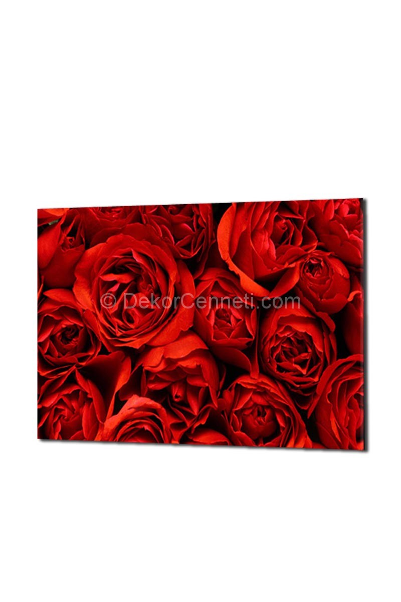 Canvas Painting Models
