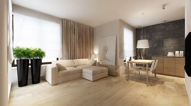 Sade ve Modern Dekore Edilen Daire Örneği