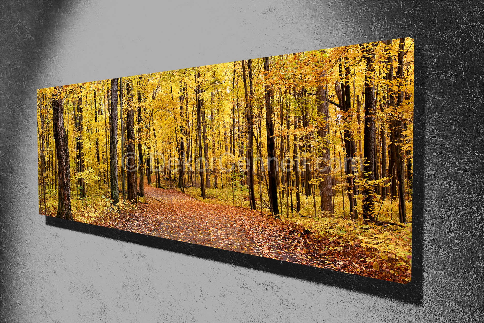 2014 Canvas Tablo Resim Modelleri 2019