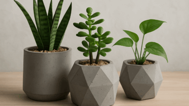 Evde Beton Saksı Yapımı